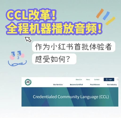 使用CCleaner前，有哪些防止误删的准备工作？