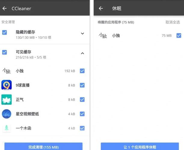 CCleaner 中的文件查找器如何使用