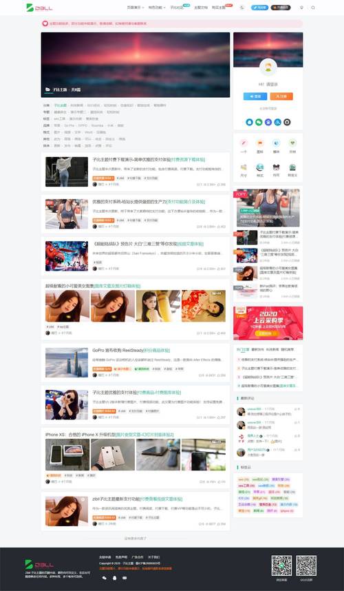 WPPAY-免登录 付费查看内容付费下载资源 WordPress插件